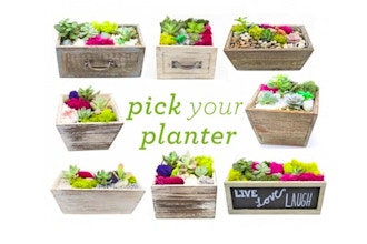 Plant Nite: Pick Your Planter! Choice of Wood Planter